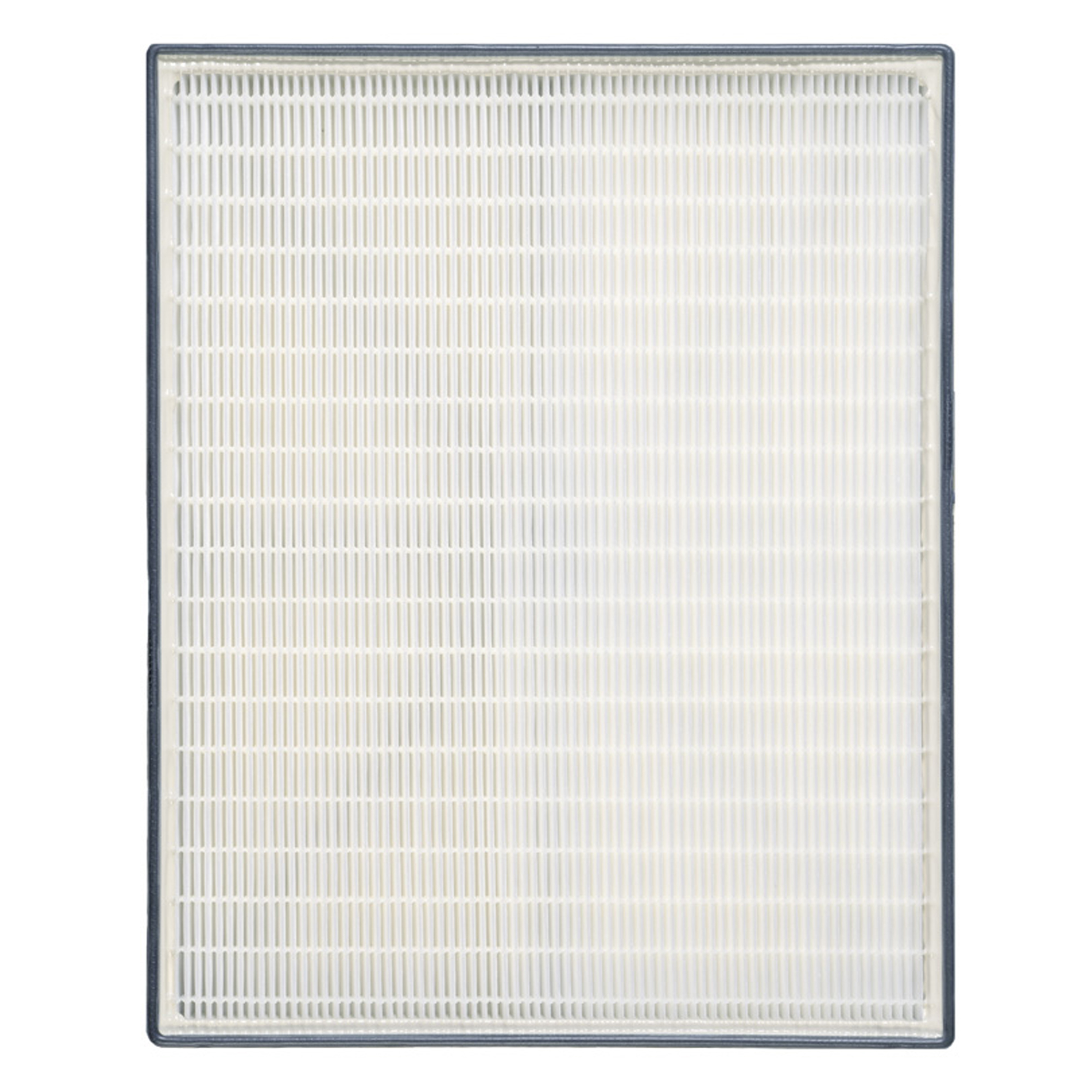 Filtre de remplacement MERV12 HEPA