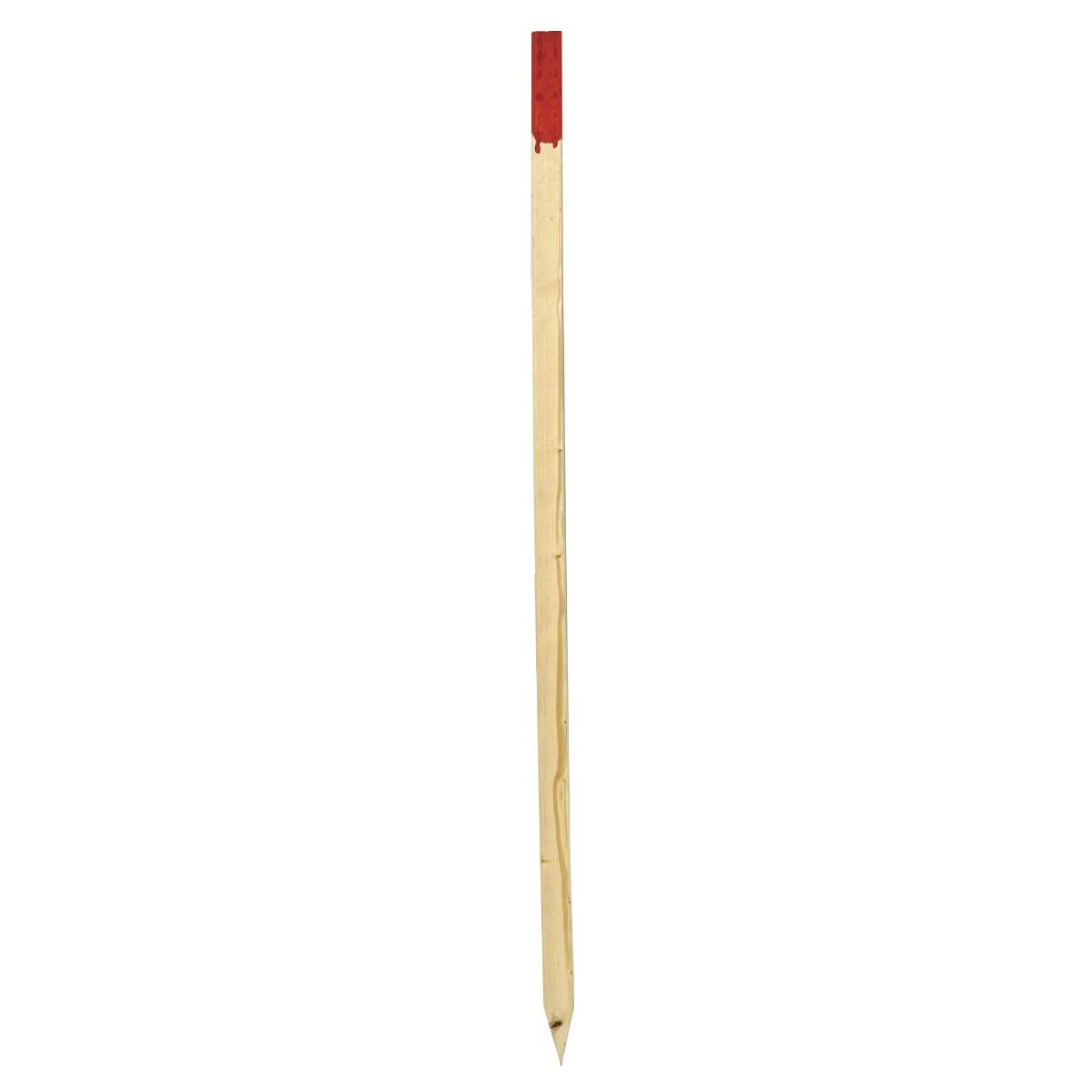 Piquet d'arpentage en épinette 1 x 2 po x 48 po, bout rouge