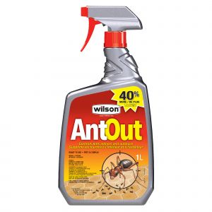 Destructeur de fourmis