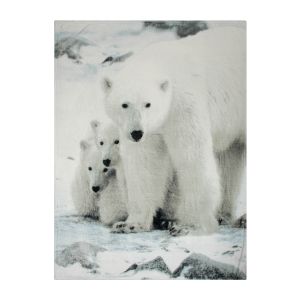 Jeté imprimé d'une famille d'ours polaire