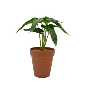 Plante artificielle Alocasia avec pot en terracotta