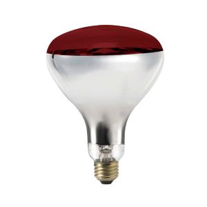 Ampoule rouge R40 pour lampe chauffante