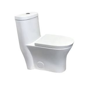 Toilette blanche monobloc chasse double