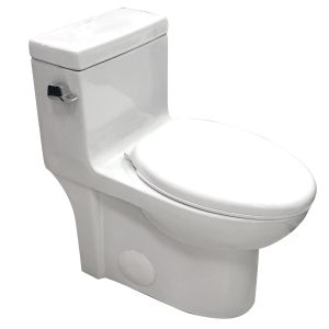 Toilette blanche LUCIA 4.8 Litres Monopièce RUNFINE.
