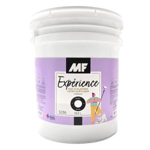 Peinture intérieure pour plafond MF Expérience latex/acrylique blanc