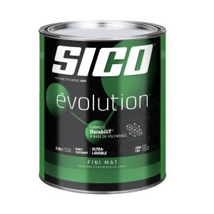 Peinture Évolution Fini mat Blanc pur