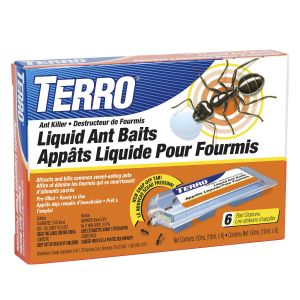 Appât liquide pour fourmis sans déversement