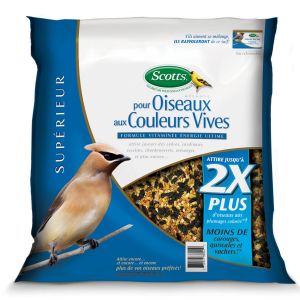 Graines pour oiseaux aux couleurs vives
