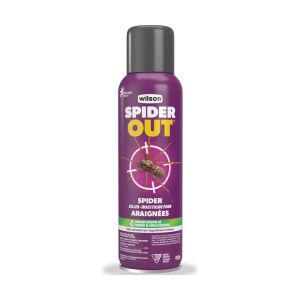 Insecticide pour araignées Spider Out