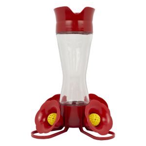 Abreuvoir en plastique et en verre transparent pour oiseaux mouches