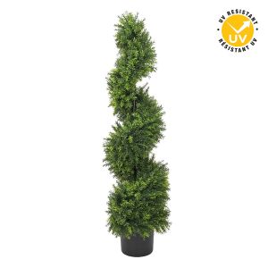 Plante verte topiaire spirale avec pot noir