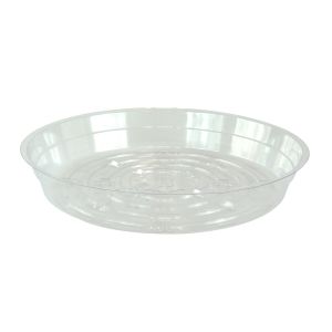 Soucoupe pour pot de fleurs clair