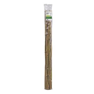Tuteur de bambou 48 po