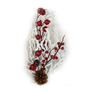 Branche de baies rouges