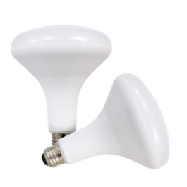 Ampoules DEL blanc froid BR40