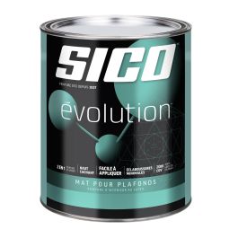 Mat pour plafonds Évolution