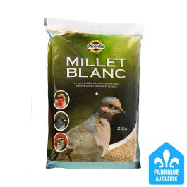 Graines pour oiseaux Millet Blanc