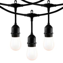 Guirlande de 12 lumières Edison