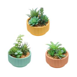 Plantes succulentes artificielles avec pot