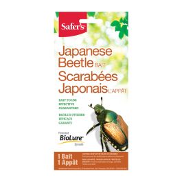 Piège à scarabées japonais