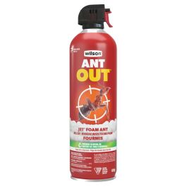 Mousse insecticide pour fourmis Ant Out