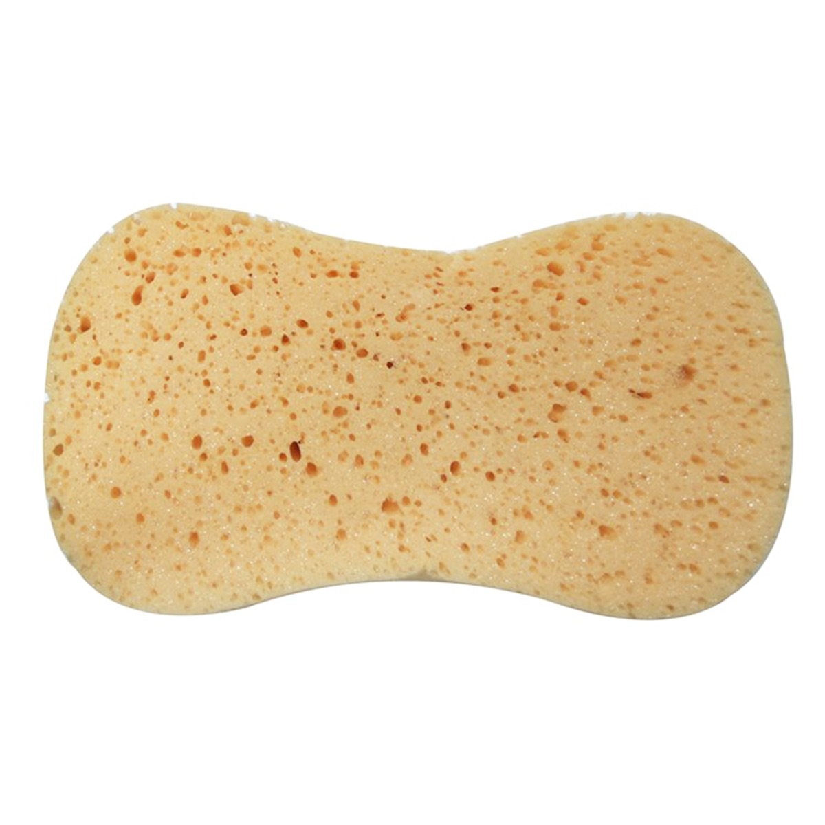 Éponge en cellulose grand format