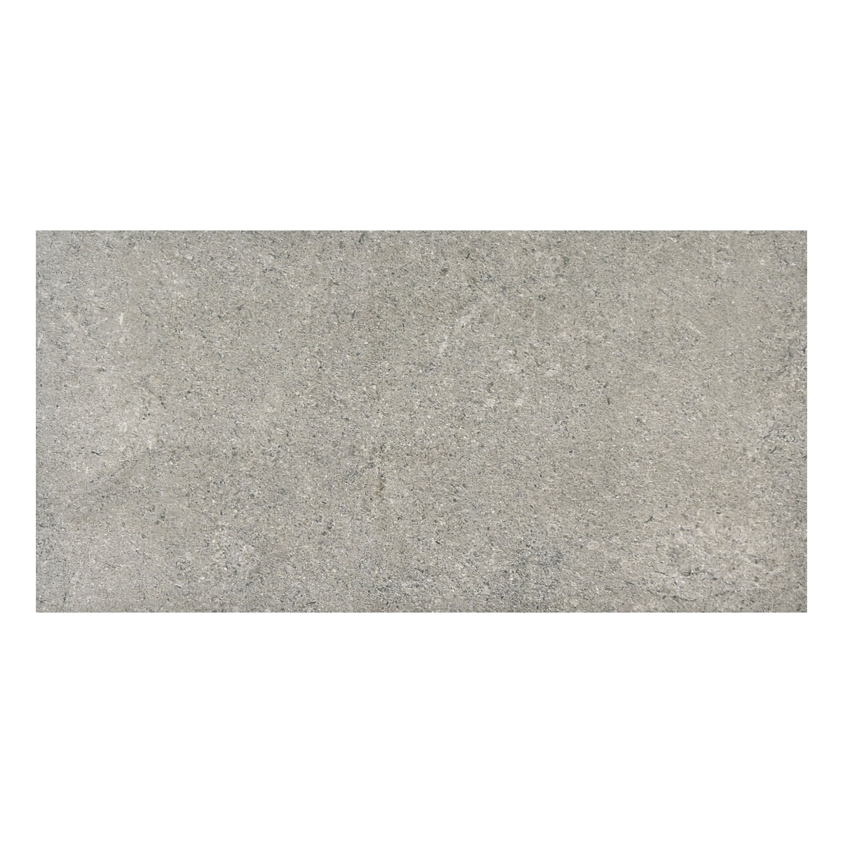 Tuile de porcelaine MOONSTONE couleur Gris
