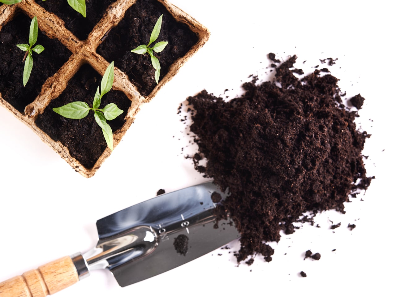 Réussir votre jardin en planifiant vos semis